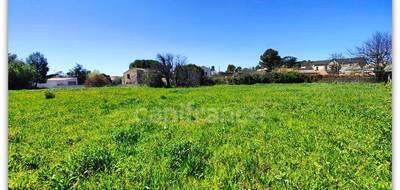 Terrain à Neffiès en Hérault (34) de 748 m² à vendre au prix de 147000€ - 1