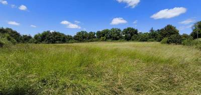 Terrain à Gron en Cher (18) de 6857 m² à vendre au prix de 35400€ - 1