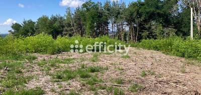 Terrain à Escoutoux en Puy-de-Dôme (63) de 2784 m² à vendre au prix de 73000€ - 1