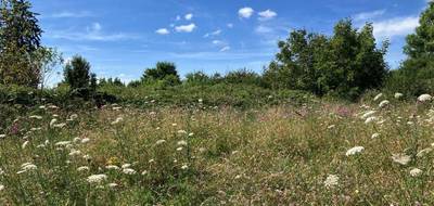 Terrain à La Souterraine en Creuse (23) de 9774 m² à vendre au prix de 99000€ - 4