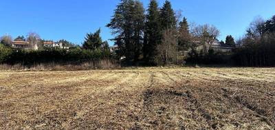 Terrain à Violay en Loire (42) de 865 m² à vendre au prix de 85000€ - 2
