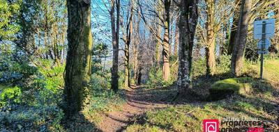 Terrain à Locronan en Finistère (29) de 1160 m² à vendre au prix de 97990€ - 3