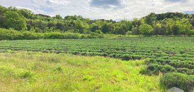 Terrain à Saint-Montan en Ardèche (07) de 3700 m² à vendre au prix de 142500€ - 4
