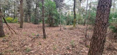 Terrain à Saint-Brevin-les-Pins en Loire-Atlantique (44) de 1060 m² à vendre au prix de 330000€ - 1