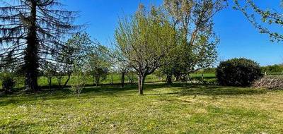Terrain à Montauban en Tarn-et-Garonne (82) de 820 m² à vendre au prix de 69000€ - 4