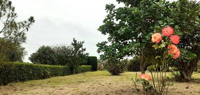 Terrain à Telgruc-sur-Mer en Finistère (29) de 1200 m² à vendre au prix de 116000€ - 3