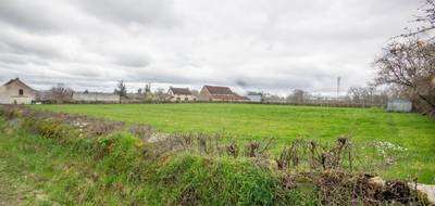 Terrain à Montvicq en Allier (03) de 6317 m² à vendre au prix de 43000€ - 3