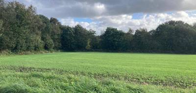 Terrain à Locronan en Finistère (29) de 978 m² à vendre au prix de 83440€ - 1