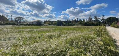 Terrain à Cheval-Blanc en Vaucluse (84) de 3087 m² à vendre au prix de 750000€ - 3