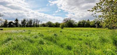 Terrain à Nohant-en-Goût en Cher (18) de 1604 m² à vendre au prix de 39000€ - 3