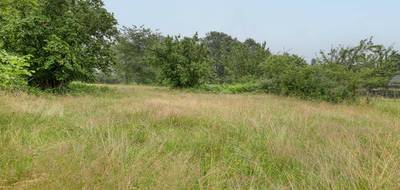 Terrain à Oradour-sur-Vayres en Haute-Vienne (87) de 1831 m² à vendre au prix de 20000€ - 3