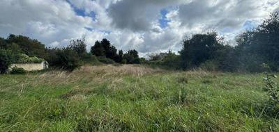 Terrain à Les Rairies en Maine-et-Loire (49) de 3241 m² à vendre au prix de 32500€ - 2