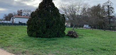 Terrain à Muret en Haute-Garonne (31) de 1280 m² à vendre au prix de 206000€ - 4