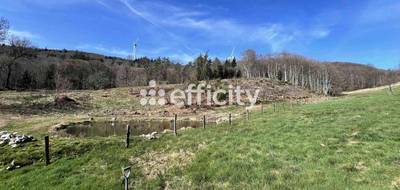 Terrain à Laprugne en Allier (03) de 925 m² à vendre au prix de 32000€ - 2