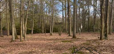 Terrain à Lamorlaye en Oise (60) de 6157 m² à vendre au prix de 630000€ - 2