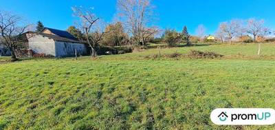 Terrain à Souyeaux en Hautes-Pyrénées (65) de 3667 m² à vendre au prix de 57000€ - 4