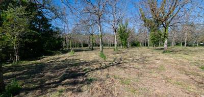 Terrain à Réans en Gers (32) de 10000 m² à vendre au prix de 94000€ - 2