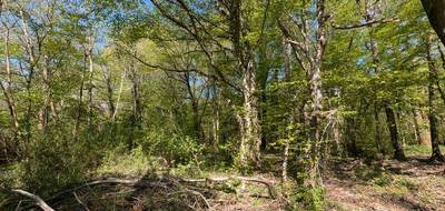 Terrain à Guignes en Seine-et-Marne (77) de 8597 m² à vendre au prix de 44000€ - 3
