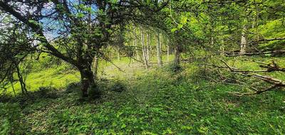Terrain à Linthal en Haut-Rhin (68) de 1050 m² à vendre au prix de 80000€ - 4