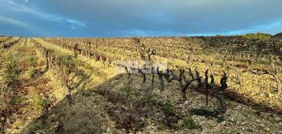 Terrain à Visan en Vaucluse (84) de 360000 m² à vendre au prix de 3500000€ - 1