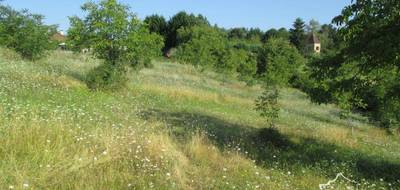 Terrain à Coux et Bigaroque-Mouzens en Dordogne (24) de 3445 m² à vendre au prix de 45000€ - 2