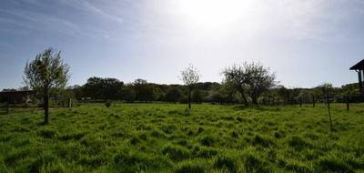 Terrain à Saillenard en Saône-et-Loire (71) de 2003 m² à vendre au prix de 25000€ - 4