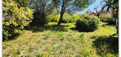 Terrain à Neffiès en Hérault (34) de 728 m² à vendre au prix de 131000€ - 4