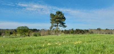 Terrain à Saint-Félix-de-Reillac-et-Mortemart en Dordogne (24) de 2679 m² à vendre au prix de 107500€ - 4