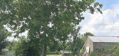 Terrain à La Ronde en Charente-Maritime (17) de 1000 m² à vendre au prix de 47990€ - 2