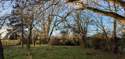 Terrain à Neuville-en-Ferrain en Nord (59) de 925 m² à vendre au prix de 252000€ - 4