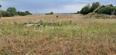 Terrain à Boësses en Loiret (45) de 7973 m² à vendre au prix de 49500€ - 1