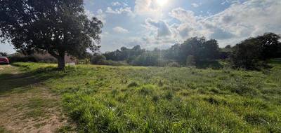 Terrain à Aléria en Haute-Corse (2B) de 1490 m² à vendre au prix de 165000€ - 1