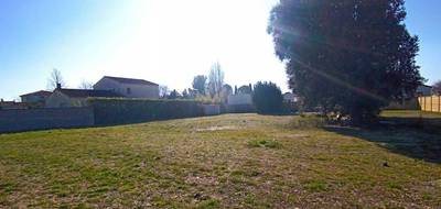 Terrain à Violès en Vaucluse (84) de 1400 m² à vendre au prix de 245000€ - 4