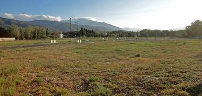 Terrain à Ille-sur-Têt en Pyrénées-Orientales (66) de 1240 m² à vendre au prix de 110311€ - 1