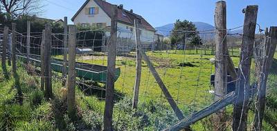 Terrain à Wuenheim en Haut-Rhin (68) de 1549 m² à vendre au prix de 308000€ - 3