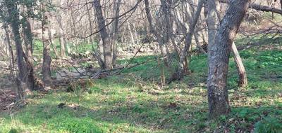 Terrain à Ville-di-Paraso en Haute-Corse (2B) de 1361 m² à vendre au prix de 111600€ - 3