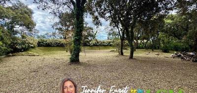 Terrain à Castries en Hérault (34) de 1429 m² à vendre au prix de 450000€ - 4