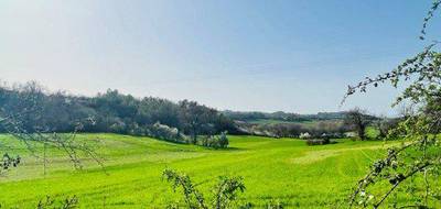 Terrain à Saliès en Tarn (81) de 1028 m² à vendre au prix de 89500€ - 4