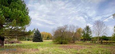 Terrain à Clion en Indre (36) de 4617 m² à vendre au prix de 39000€ - 3