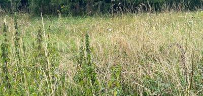Terrain à Châtellerault en Vienne (86) de 900 m² à vendre au prix de 33990€ - 2