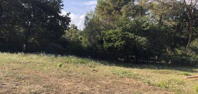 Terrain à Opio en Alpes-Maritimes (06) de 5450 m² à vendre au prix de 419000€ - 4