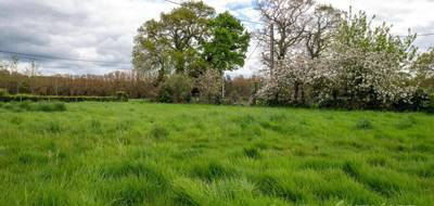 Terrain à Plancoët en Côtes-d'Armor (22) de 599 m² à vendre au prix de 66400€ - 1
