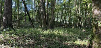 Terrain à Brive-la-Gaillarde en Corrèze (19) de 14696 m² à vendre au prix de 66000€ - 2
