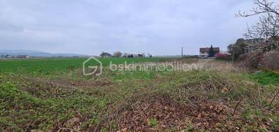 Terrain à Issenheim en Haut-Rhin (68) de 610 m² à vendre au prix de 110000€ - 4