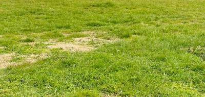 Terrain à Ciré-d'Aunis en Charente-Maritime (17) de 700 m² à vendre au prix de 99800€ - 1