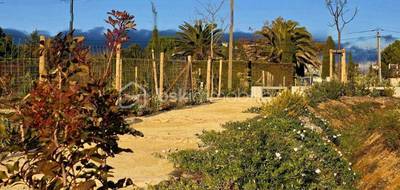 Terrain à Canet en Hérault (34) de 664 m² à vendre au prix de 179000€ - 1