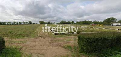 Terrain à Le Cellier en Loire-Atlantique (44) de 50000 m² à vendre au prix de 385000€ - 4