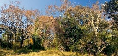 Terrain à Molières-sur-Cèze en Gard (30) de 1040 m² à vendre au prix de 59000€ - 1