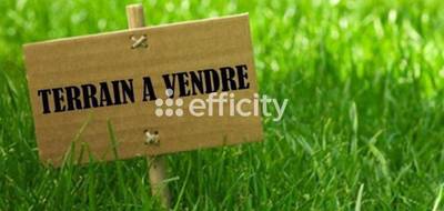 Terrain à Vernou-la-Celle-sur-Seine en Seine-et-Marne (77) de 4917 m² à vendre au prix de 99000€ - 1