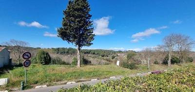 Terrain à Castelnau-le-Lez en Hérault (34) de 764 m² à vendre au prix de 780000€ - 3